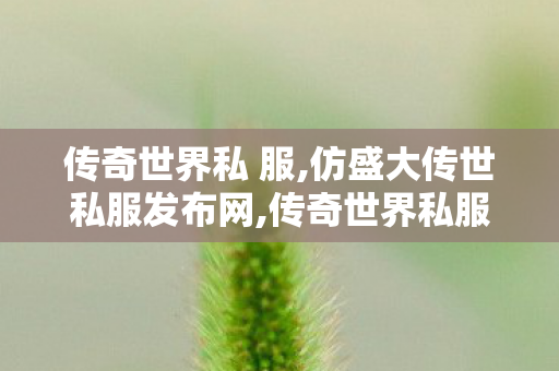 传奇世界私 服,仿盛大传世私服发布网,传奇世界私服发布网新开服发布吧,仿盛大传世私服发布网