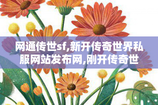 网通传世sf,新开传奇世界私服网站发布网,刚开传奇世界私服,新开传奇世界私服网站发布网