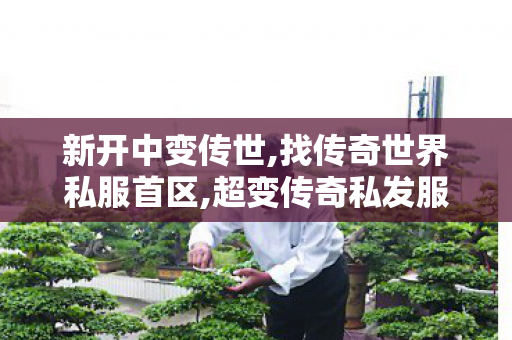 新开中变传世,找传奇世界私服首区,超变传奇私发服网,找传奇世界私服首区