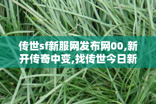 传世sf新服网发布网00,新开传奇中变,找传世今日新开,新开传奇中变