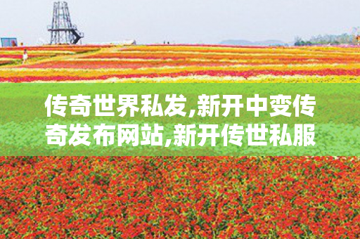 传奇世界私发,新开中变传奇发布网站,新开传世私服有元神,新开中变传奇发布网站