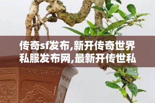 传奇sf发布,新开传奇世界私服发布网,最新开传世私服,新开传奇世界私服发布网