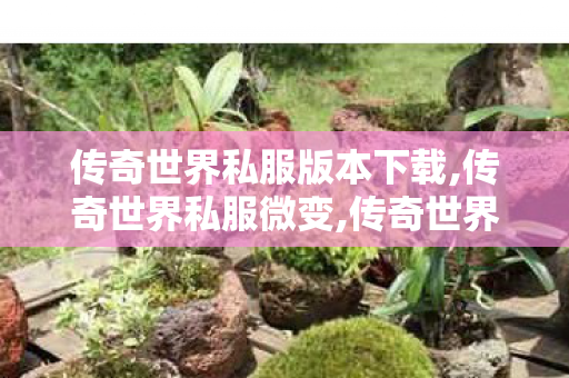 传奇世界私服版本下载,传奇世界私服微变,传奇世界老版本客户端下载,传奇世界私服微变