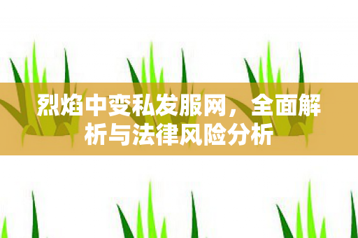 烈焰中变私发服网，全面解析与法律风险分析