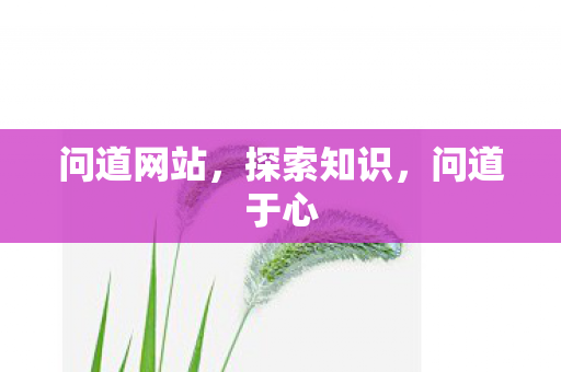 问道网站，探索知识，问道于心