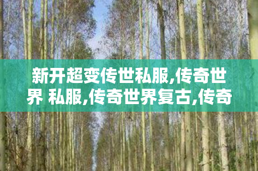 新开超变传世私服,传奇世界 私服,传奇世界复古,传奇世界 私服