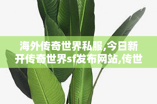 海外传奇世界私服,今日新开传奇世界sf发布网站,传世sif,今日新开传奇世界sf发布网站