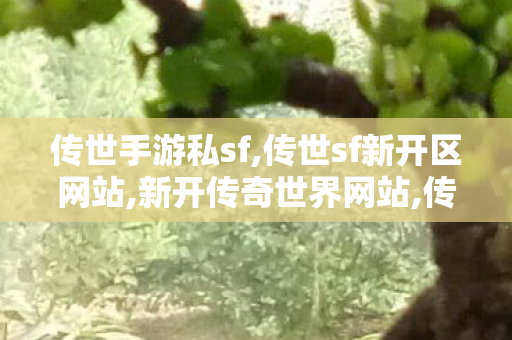 传世手游私sf,传世sf新开区网站,新开传奇世界网站,传世sf新开区网站