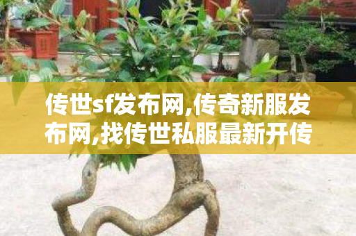 传世sf发布网,传奇新服发布网,找传世私服最新开传世sf网,传奇新服发布网