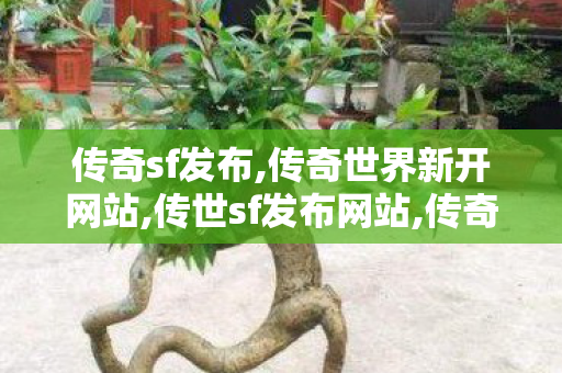 传奇sf发布,传奇世界新开网站,传世sf发布网站,传奇世界新开网站