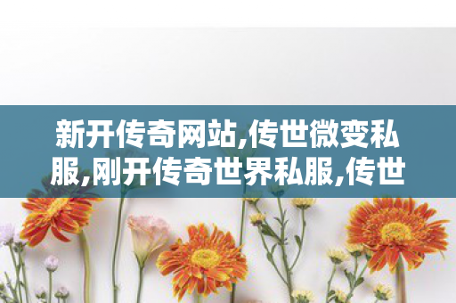 新开传奇网站,传世微变私服,刚开传奇世界私服,传世微变私服