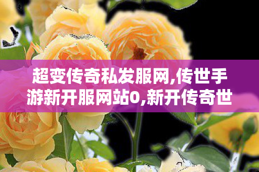 超变传奇私发服网,传世手游新开服网站0,新开传奇世界私服发布网,传世手游新开服网站0
