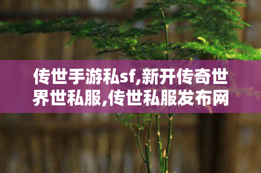 传世手游私sf,新开传奇世界世私服,传世私服发布网,新开传奇世界世私服