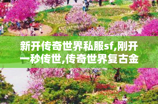 新开传奇世界私服sf,刚开一秒传世,传奇世界复古金币版,刚开一秒传世