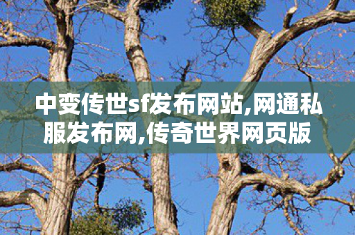 中变传世sf发布网站,网通私服发布网,传奇世界网页版官网,网通私服发布网