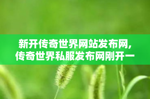 新开传奇世界网站发布网,传奇世界私服发布网刚开一秒,新开传奇世界sf传世sf网站,传奇世界私服发布网刚开一秒