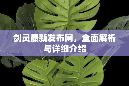 剑灵最新发布网，全面解析与详细介绍