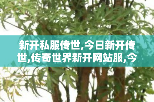新开私服传世,今日新开传世,传奇世界新开网站服,今日新开传世