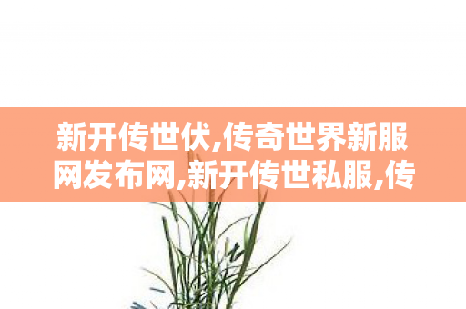 新开传世伏,传奇世界新服网发布网,新开传世私服,传奇世界新服网发布网