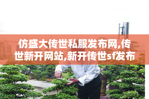 仿盛大传世私服发布网,传世新开网站,新开传世sf发布网,传世新开网站