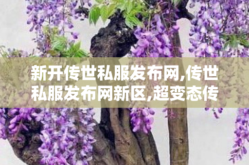 新开传世私服发布网,传世私服发布网新区,超变态传奇私发服,传世私服发布网新区
