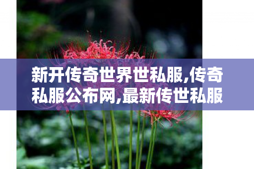 新开传奇世界世私服,传奇私服公布网,最新传世私服,传奇私服公布网
