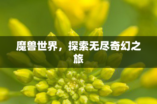 魔兽世界，探索无尽奇幻之旅