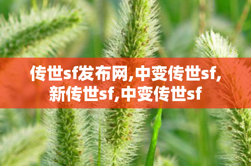 传世sf发布网,中变传世sf,新传世sf,中变传世sf