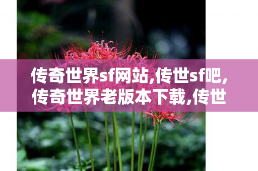 传奇世界sf网站,传世sf吧,传奇世界老版本下载,传世sf吧
