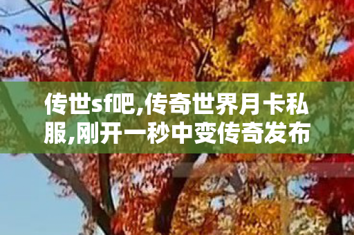传世sf吧,传奇世界月卡私服,刚开一秒中变传奇发布网,传奇世界月卡私服