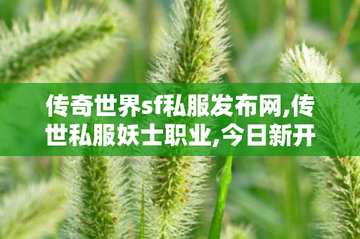 传奇世界sf私服发布网,传世私服妖士职业,今日新开传奇世界私服,传世私服妖士职业