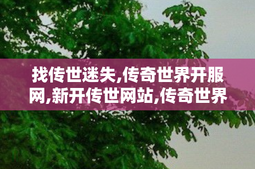找传世迷失,传奇世界开服网,新开传世网站,传奇世界开服网