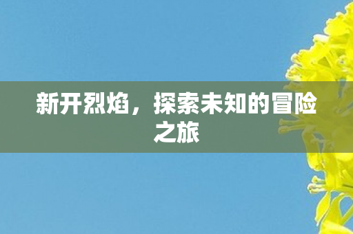 新开烈焰，探索未知的冒险之旅