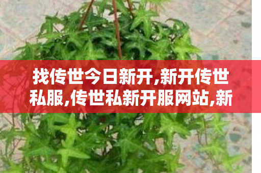 找传世今日新开,新开传世私服,传世私新开服网站,新开传世私服