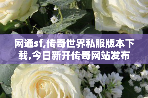 网通sf,传奇世界私服版本下载,今日新开传奇网站发布网,传奇世界私服版本下载