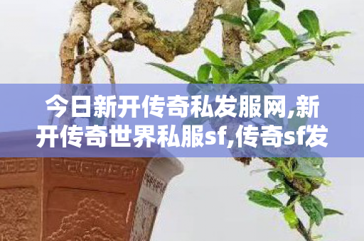 今日新开传奇私发服网,新开传奇世界私服sf,传奇sf发布,新开传奇世界私服sf