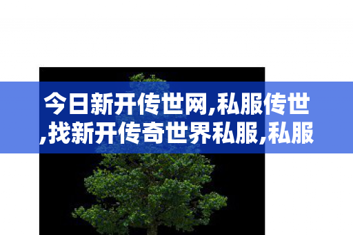 今日新开传世网,私服传世,找新开传奇世界私服,私服传世