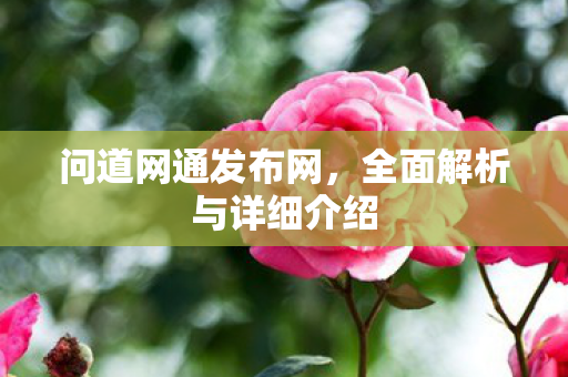 问道网通发布网，全面解析与详细介绍