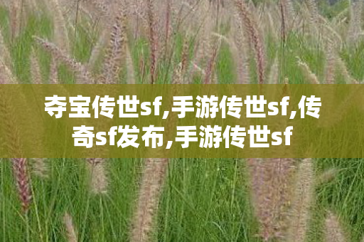 夺宝传世sf,手游传世sf,传奇sf发布,手游传世sf