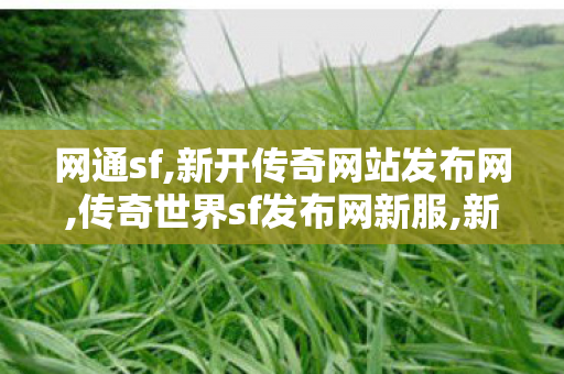 网通sf,新开传奇网站发布网,传奇世界sf发布网新服,新开传奇网站发布网