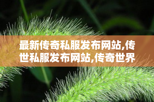 最新传奇私服发布网站,传世私服发布网站,传奇世界私服网站,传世私服发布网站
