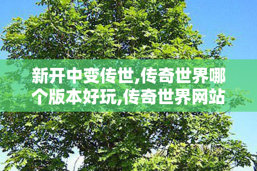 新开中变传世,传奇世界哪个版本好玩,传奇世界网站手机版,传奇世界哪个版本好玩