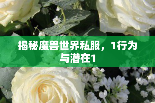 揭秘魔兽世界私服，1行为与潜在1