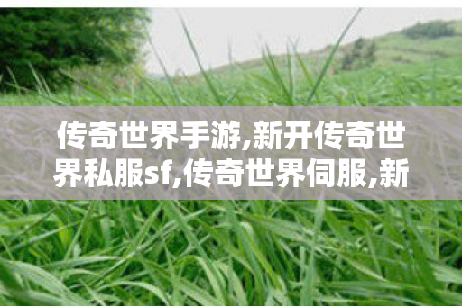 传奇世界手游,新开传奇世界私服sf,传奇世界伺服,新开传奇世界私服sf