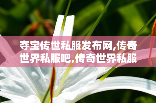 夺宝传世私服发布网,传奇世界私服吧,传奇世界私服发布网,传奇世界私服吧