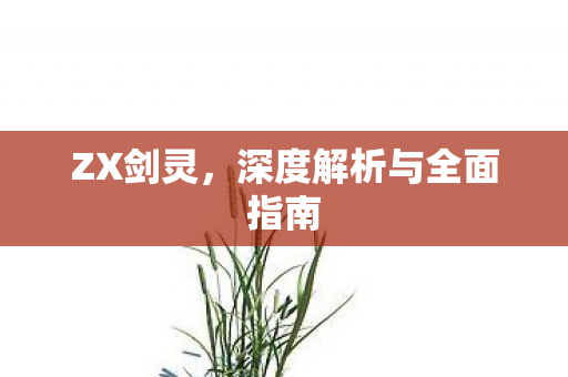 ZX剑灵，深度解析与全面指南