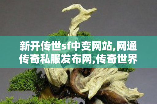 新开传世sf中变网站,网通传奇私服发布网,传奇世界私服,新开传世sf,网通传奇私服发布网