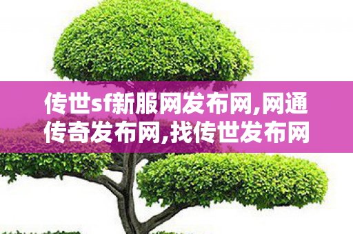 传世sf新服网发布网,网通传奇发布网,找传世发布网,网通传奇发布网
