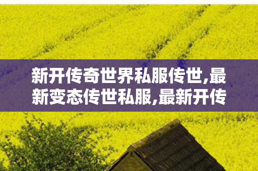 新开传奇世界私服传世,最新变态传世私服,最新开传世私服,最新变态传世私服