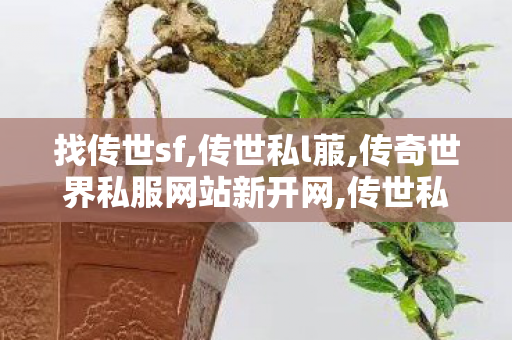找传世sf,传世私l菔,传奇世界私服网站新开网,传世私l菔